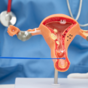 Vaginal Laxity After Childbirth: Causes & Treatment Options